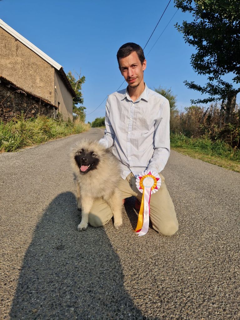 Lords of the Poms - Ricky Martins del Monte Dragnone BEST IN SHOW puppy a la RE Aurillac 